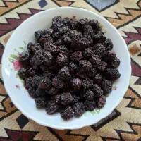 گیلاس خشک الموت