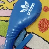 میت راکتی