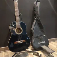 گیتار هافنر