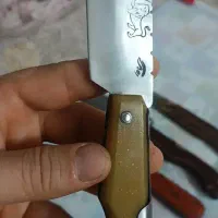 چاقو قصابی آشپزخانه طبیعت گردی