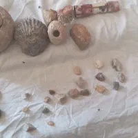 کسب تجربه وشناخت