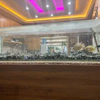 اکواریم با ماهی