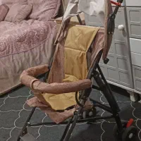 کالسکه عصایی