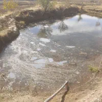 فروش سه هکتا زمین کشاورزی