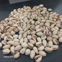 زمین مشجر پسته