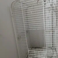 قفس کاسکو|لوازم جانبی حیوانات|تربتحیدریه, قائم|دیوار