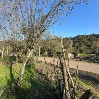 ۱۷۷متر ویلایی شونان رود /خانه آسیاب