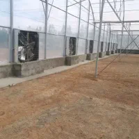 فرصت مشارکت در گلخانه هیدروپونیک|مشارکت در ساخت املاک|تهران, نیروی دریایی|دیوار