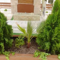 خدمات باغبانی و گل کاری|خدمات باغبانی و درختکاری|قم, سالاریه|دیوار