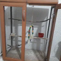 قفسه پرنده عروس هلندی