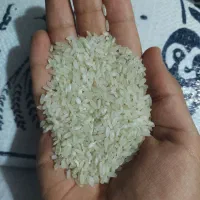 برنج کامفیروزی