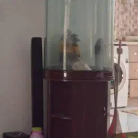 اکواریوم استوانه ای