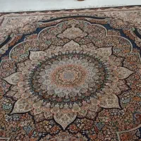 فرش 12 متری پرهام|فرش|شیراز, پانصد دستگاه ارتش|دیوار