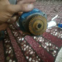 شارژروخنزیره