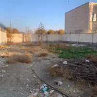 زمین-500-متر-قابل-تفکیک-تاپ-لوکیشن-کردان-سهیلیه