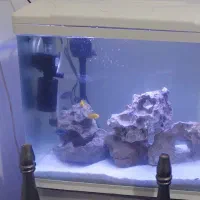 اکواریوم ۶۰ ×۶۰ و میز