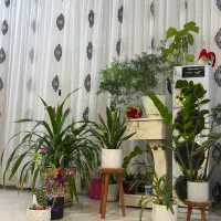 فروش فوری پرده