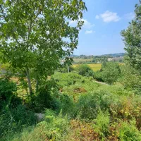 زمین مسکونی سندتک برگ و پروانه ساخت،مشاور اسماعیلی|فروش زمین و ملک کلنگی|شیرگاه, |دیوار