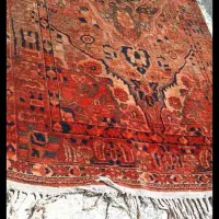 دوعدد قالی قدیمی نو ودست دوم وچوم اتیغه