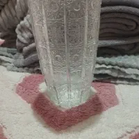 فنجون آنجلیکا