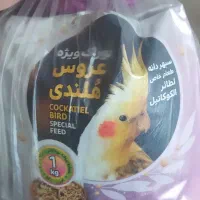 غذای خشک مکمل طوطی و عروس هلندی
