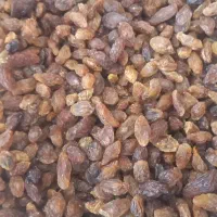 کشمش و مویز افتابی پاک شده|خوردنی و آشامیدنی|نجفآباد, منتظری جنوبی|دیوار