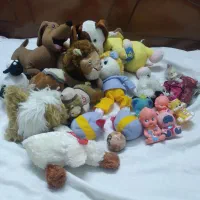 عروسک|اسباببازی بچه|گرگان, |دیوار