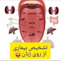 سونوگرافی بدن ازطریق زبان