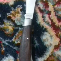 چاقوی استیل برای درخت پیوست زدن