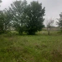 فروش-گلخانه-کنار-رود-خانه-بامجوز-پروانه