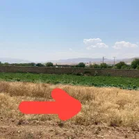 فروش زمین کشاورزی