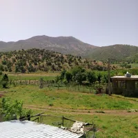 فروش دو عددآپارتمان ۶۰ متری ۱ خوابه طبقه ۲