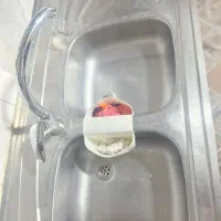 سینک ظرفشویی