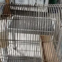 قفس سهره