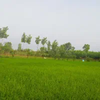 فروش خط 1 تهران 912