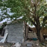 فروش باغ