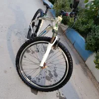 دوچرخه المپیک 26