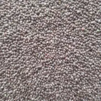 فروش ۱۰۰ کیلو شاهدونه ریز