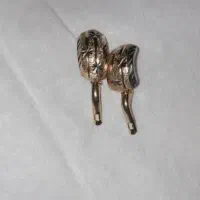 النگوشماره۲وگوشواره