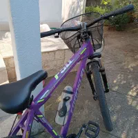 دوچرخه|دوچرخه، اسکیت، اسکوتر|چاف و چمخاله, |دیوار