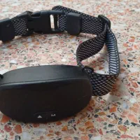 قلاده ضد واق