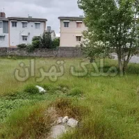 465متر-مستطیل-تک-برگ-پیل-علی-باغ-اماده-بهره-برداری