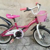 دوعدد دوچرخه ۱۶ تایوانی