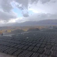 فروش انواع بلوک  دیواری و پوکه ۱۰ و ۱۵ سانت