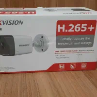 دوربین هایک ویژین تحت شبکه ds-2cd1043g0-1|دوربین مداربسته|تهران, کیانشهر|دیوار
