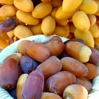 رطب کبکاب درجه۱