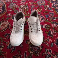 کفش ونیم بوت درحدنو