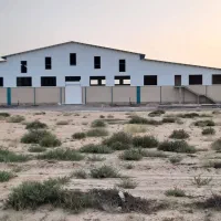 مصالح ساختمانی (ساندویچ پانل)|مصالح و تجهیزات ساختمان|قم, پردیسان|دیوار