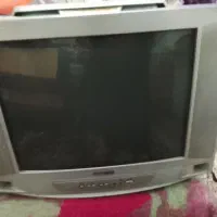 تلویزیون