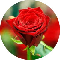 واگذاری جواز کسب سالن آرایشگری در سلیمانیه